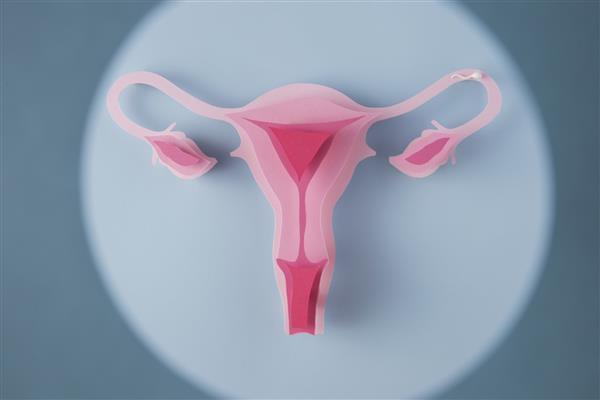 بهترین مرکز پلاسما تراپی واژن در تهران + تلفن و آدرس