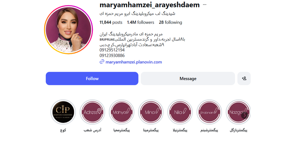 آکادمی مریم حمزه ای